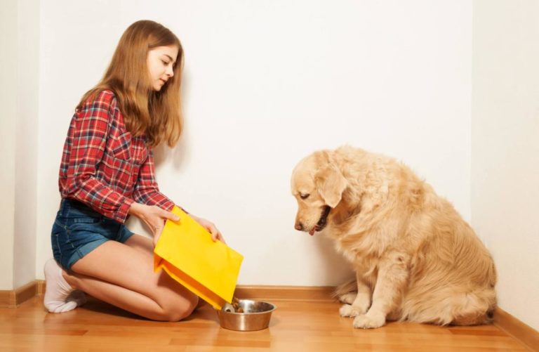 Hund gelenke nahrungsergänzung - Bewundern Sie dem Gewinner der Tester